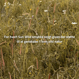 Sun Wild Hoops
