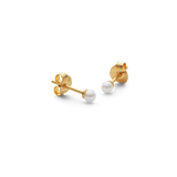 Pearl Studs