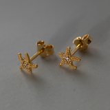 Starfish Studs