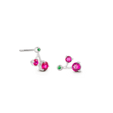 Cherry Colors Studs