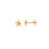 Starfish Studs