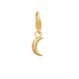 Moon Charm