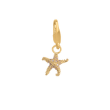 Charms Necklace Starter Kit: Starfish