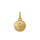Love And Friendship Pendant: Star Sign