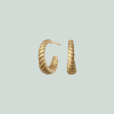 Fine Seashell Hoops