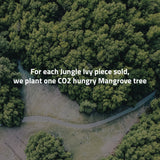 Jungle Ivy earrings with stones