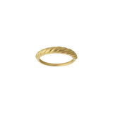 Seashell Band