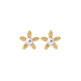Forget-me-not pärlör Studs