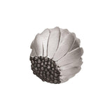 Daisy Pod