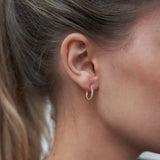 Sparkle Hoops Mini Pastels