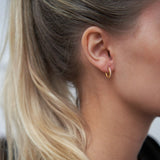 Sparkle Hoops Miniature