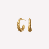 Seashell Hoops