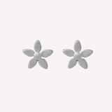 Forget-me-not Studs