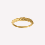 Seashell Band